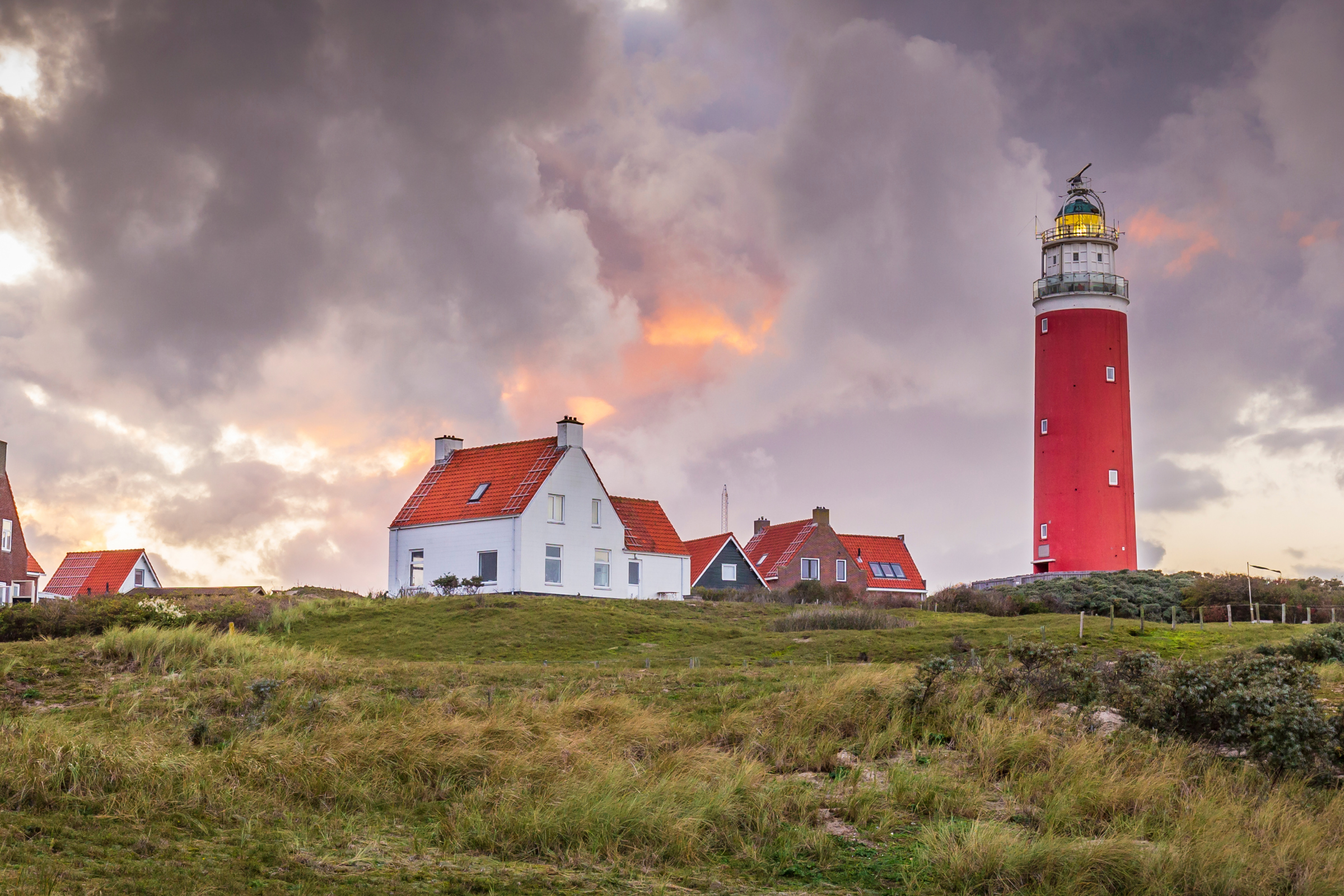 Texel  02.webp